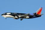 Shamu737's Avatar