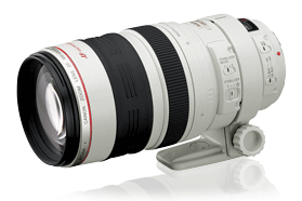 Canon EF 100-400mm f/4.5-5.6L IS USM Telephoto Zoom