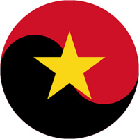 Angola Air Force insignia